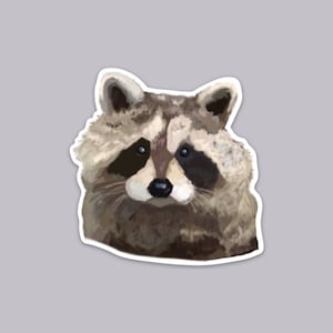Weatherproof Vinyl Raccoon Sticker