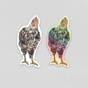 Chicken Sticker - Matte or Holographic