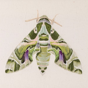 Oleander Hawk Moth  Paint-by-Number Kit for Adults — Elle Crée (she  creates)