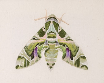 Embroidered Oleander hawk moth Giclée Fine Art Print