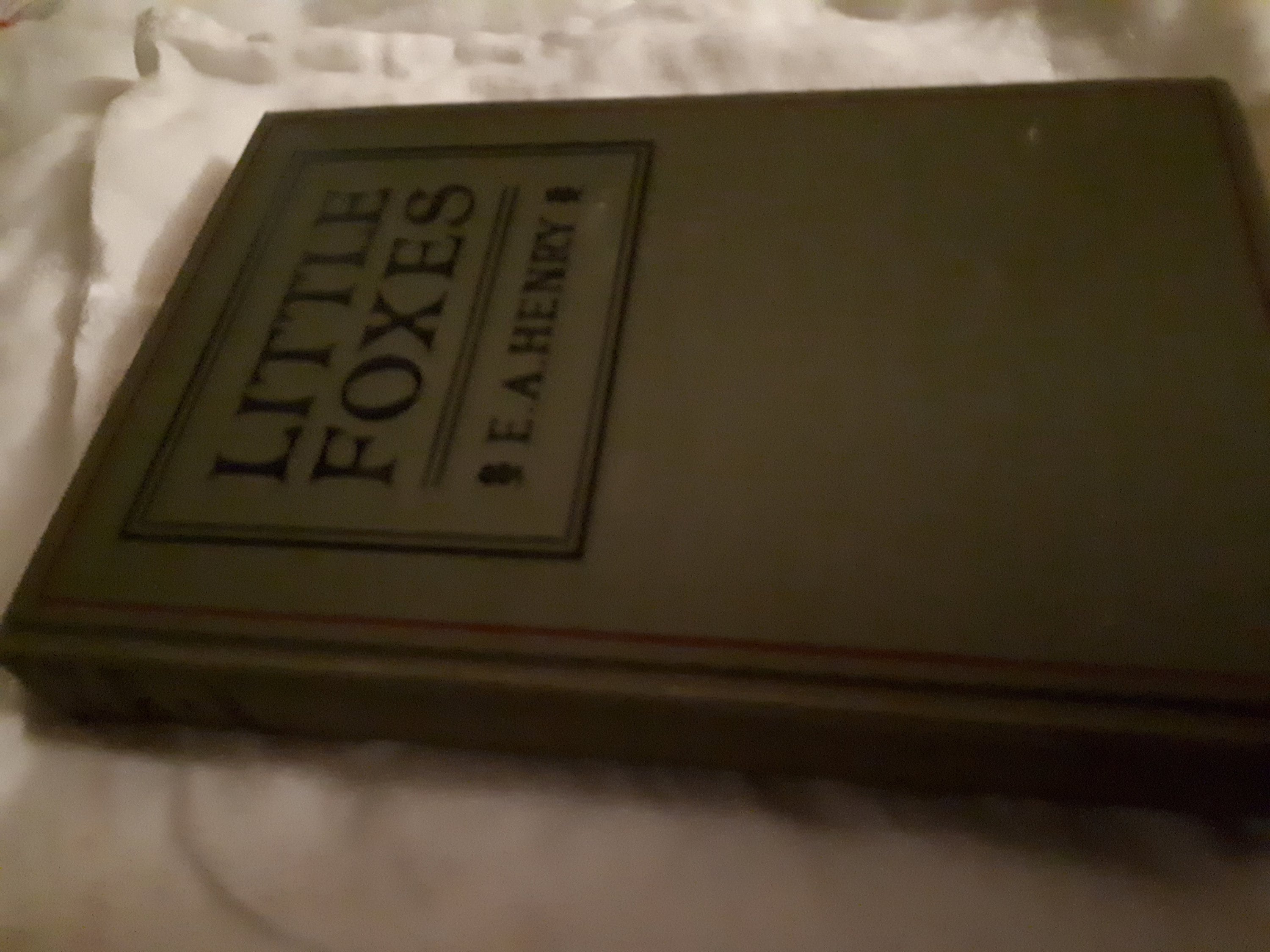 Little Foxes by E.A. Henry-1920's Early Edition-Nice Clean Pages-Great Gift for the Book Collector