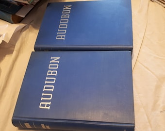 Two Books-Bird Watcher Audubon by Constance Rourke, Illustrated by James MacDonald 1936 First Edition-Historical Audubon Book-Perfect Gift
