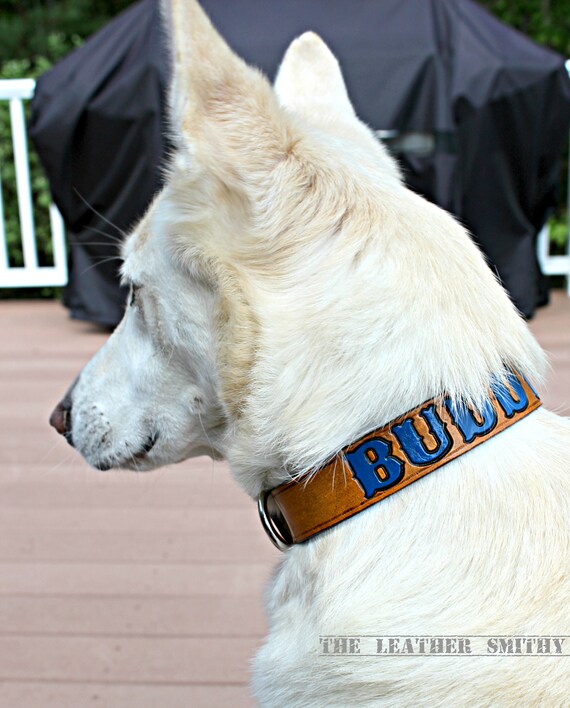 painted leather dog collar
