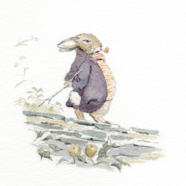 Benjamin Bunny - Etsy