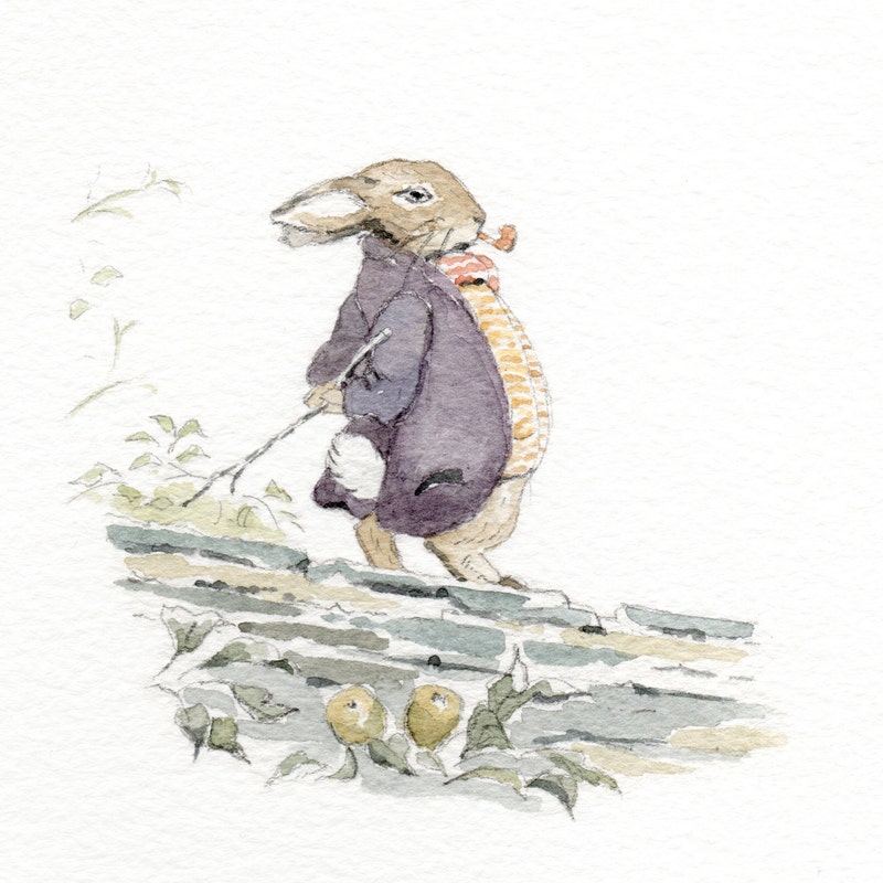 Benjamin Bunny - Etsy