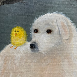 Puede incluir: Un perro blanco y esponjoso con un peque&ntilde;o pollito amarillo posado en su espalda. El perro tiene ojos marrones y una nariz negra. El pollito tiene un pico amarillo y patas naranjas.