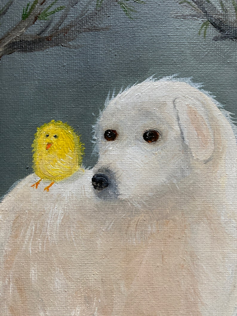 Puede incluir: Un perro blanco y esponjoso con un peque&ntilde;o pollito amarillo posado en su espalda. El perro tiene ojos marrones y una nariz negra. El pollito tiene un pico amarillo y patas naranjas.