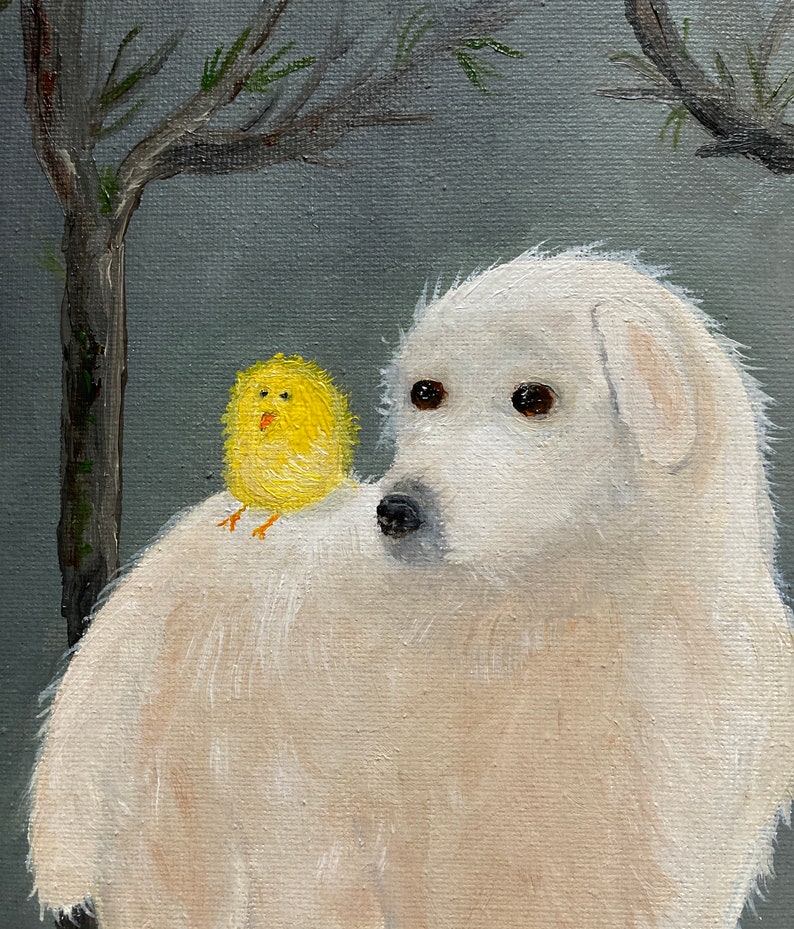 Puede incluir: Un perro blanco y esponjoso con un peque&ntilde;o pollito amarillo posado en su espalda. El perro mira hacia la derecha del marco, mientras que el pollito mira hacia adelante. El fondo es gris claro con una rama de &aacute;rbol en la esquina superior izquierda.