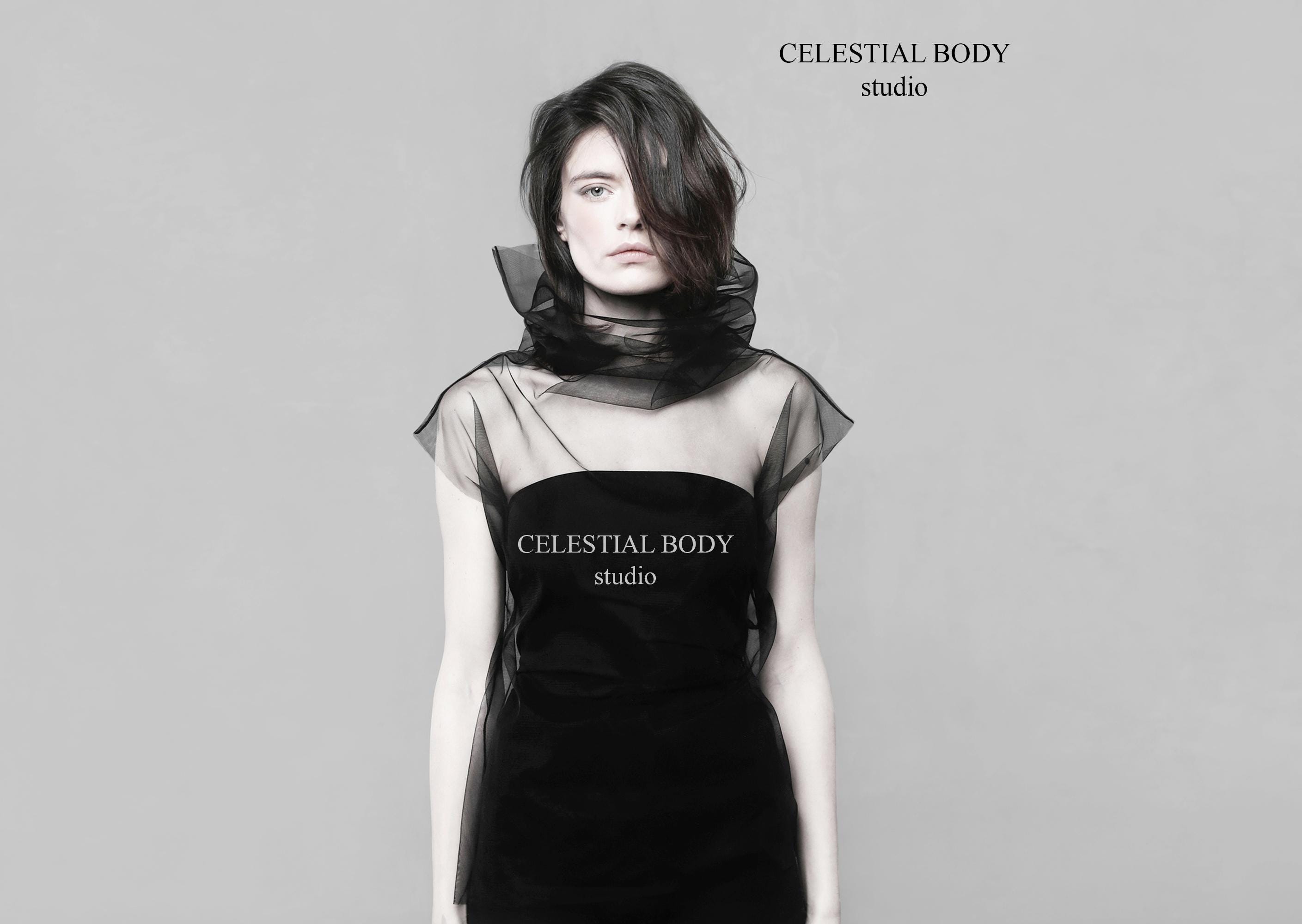 Avant Garde Gothic Black Sheer Mesh Dress or Top. See