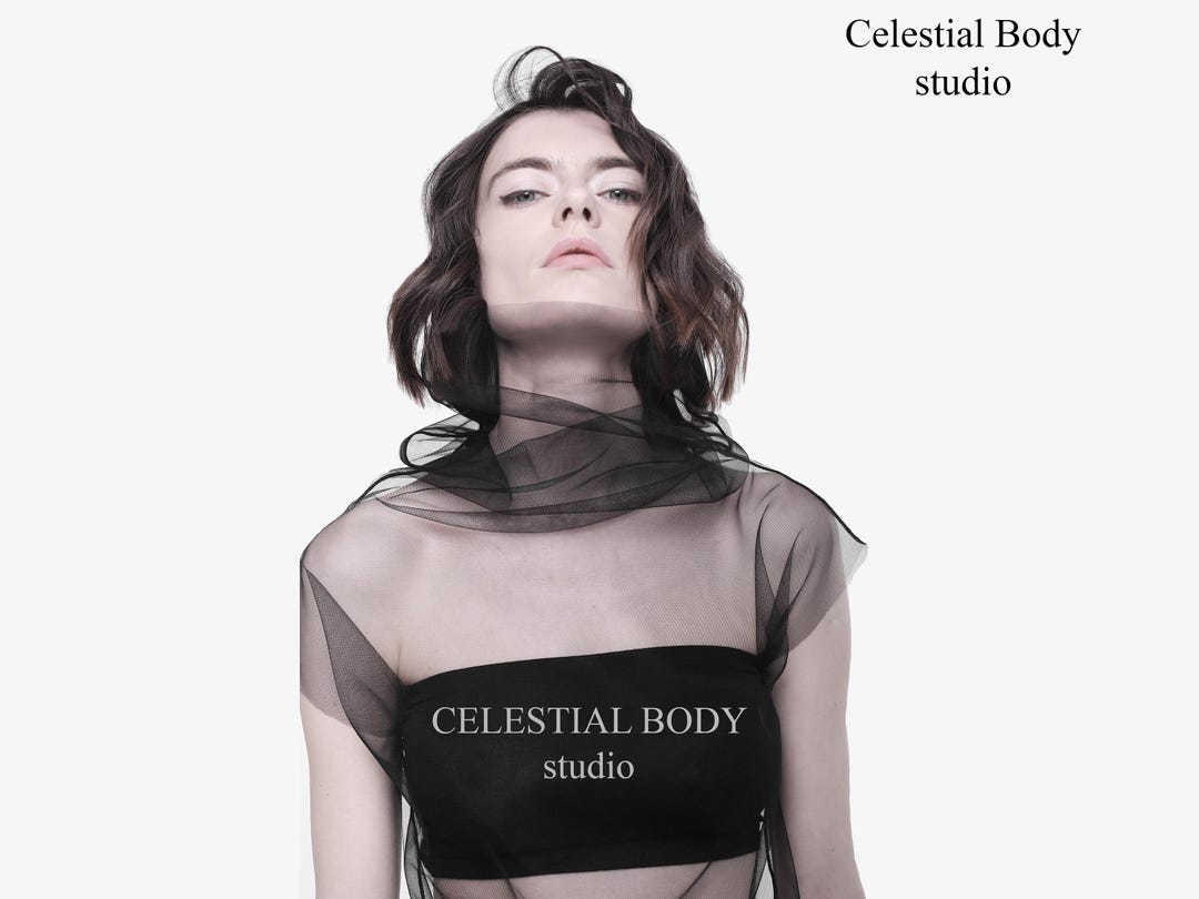 NEWALRIN☆Twinkle Shirrign See-Through Top 뉴얼린 Twinkle Shirrign See-Through Top | 브랜드 중고거래
