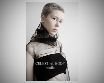 Avant garde Sheer Tulle Turtleneck Top.  Cyberpunk Rave Alt Clothing