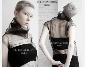 Sheer black turtleneck top hotsell
