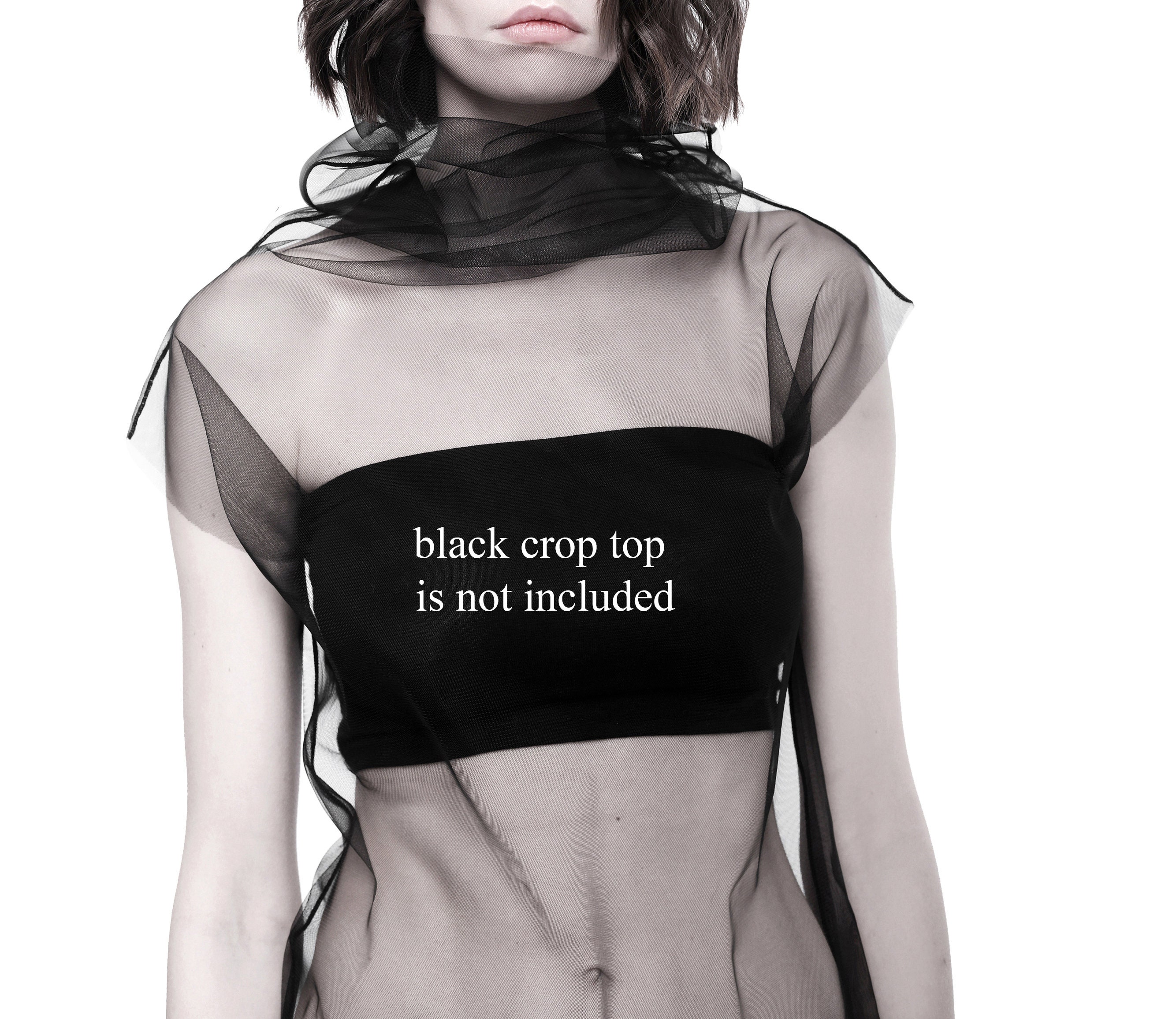 Extravagant Sheer Turtleneck Top Avant Garde Clothing Black