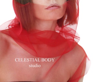 Avant Garde Red Sheer turtleneck top Red tulle top Futuristic top Avant garde clothing Red mesh top Cyberpunk top  Red see through top