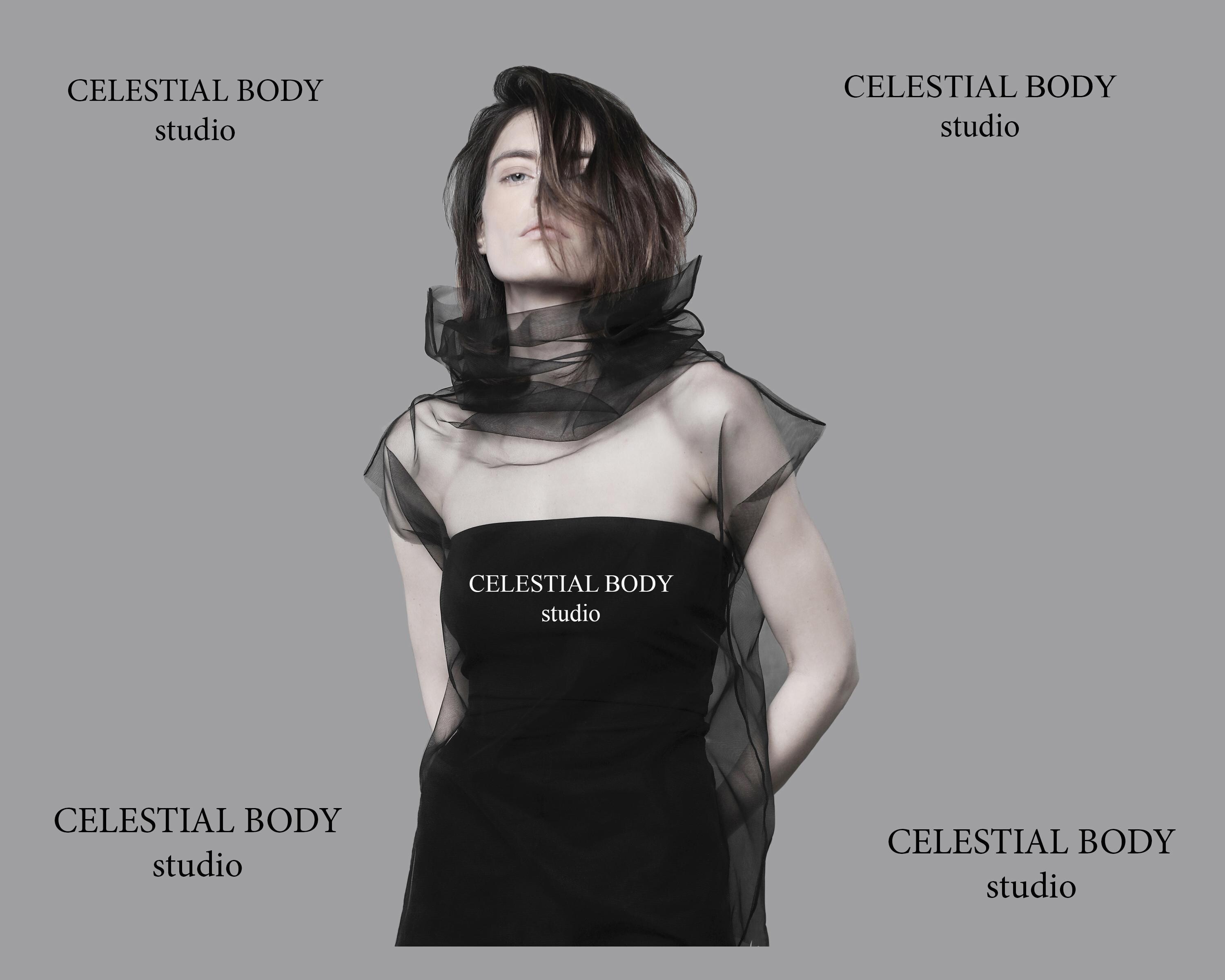 新品未使用 ACLENT Line work tattoo sheer top 71r5SEmpdhL.jpg