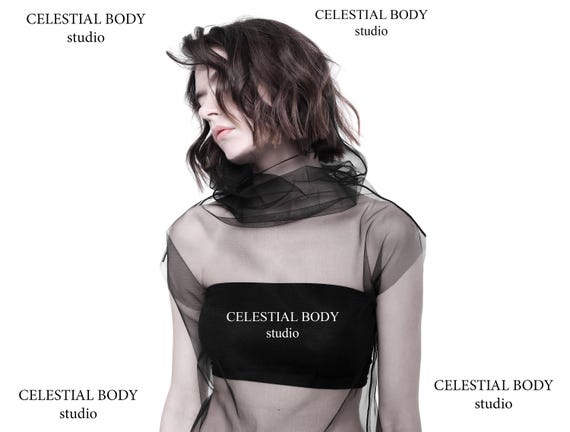 Avant garde top. Black Mesh turtleneck top. Tulle top. Avant Garde clothing. Sheer turtleneck top. Futuristic shirt. Gothic blouse.
