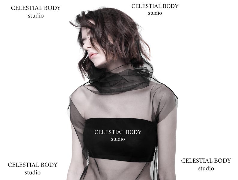 Avant garde top. Black Mesh turtleneck top. Tulle top. Avant Garde clothing. Sheer turtleneck top. Futuristic shirt. Gothic blouse. image 1