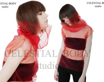 White Tulle Top Sheer Turtleneck Top High Neck Transparent