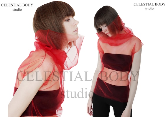 White Tulle Top Sheer Turtleneck Top High Neck Transparent