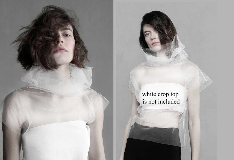 May include: A white sheer top with a high neck and short sleeves. The top is made of a lightweight, translucent fabric. The text "white crop top is not included" is printed on the front of the top.
