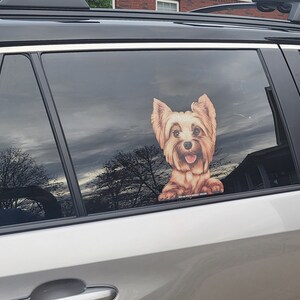 RIDE A LONG Yorkie Standing Perforated Laminated Car Semi Transparent ...