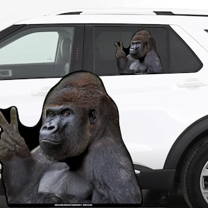 May include: A pair of gorilla car decals. One large decal shows a gorilla making a peace sign. A smaller decal of a gorilla making a peace sign is on the car window. The decals are black and gray.