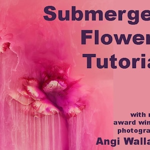 May include: A pink and white abstract floral image with the text "Submerged Flowers Tutorial" and "with multi award winning photographer Angi Wallace".
