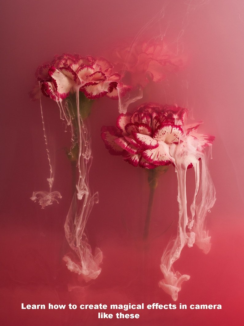 Submerged Underwater Flower Photography Tutorial in English Only - Etsy