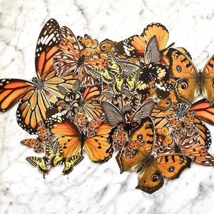 Éphémères Papillons Orange Accents Métaliques Découpés bricolage embellissement journal de bord décor scrapbooking et fabrication de cartes