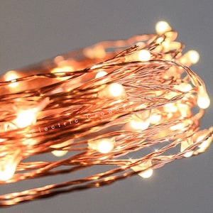 May include: Copper wire fairy lights with warm white LED bulbs. The lights are coiled and tangled together, creating a warm and inviting glow.