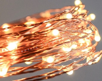 Copper Wire Fairy Lights, Patio String Lights, Rustic Wedding, Barn Wedding, Wedding Lighting, Warm White, PLUG, Battery Operated, 13ft-65ft