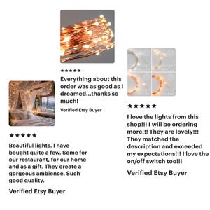 Fall Wedding Decor, Rustic Wedding Decor, Wedding Warm White Lights for Wedding Arch, Banister, AA Battery or Plug In, 13ft-65ft, 200 LEDS! image 3