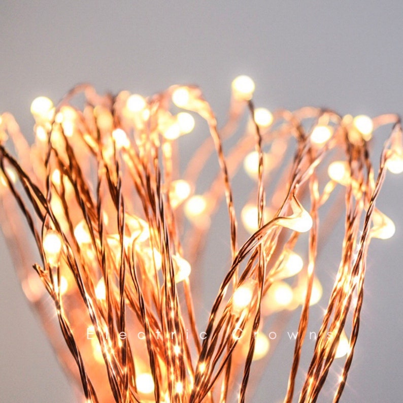 May include: Copper wire fairy lights with warm white LED bulbs. The lights are strung together in a random pattern, creating a whimsical and festive look.