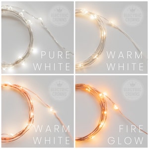 Friend Gift, Fairy Lights, House Warming Gift, Home Decor, Cottage Core, Whimsical, Twinkle Lights for Plants, Plug In, Battery, 13ft-65ft