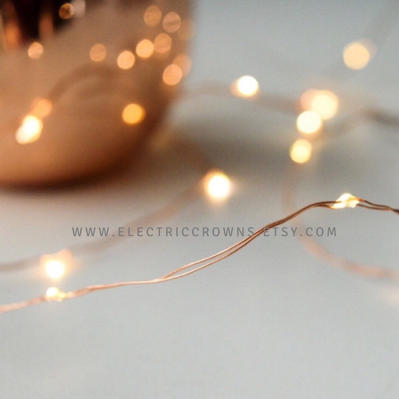 May include: Copper wire fairy lights with warm white LED bulbs. The lights are strung along a thin copper wire and are perfect for adding a touch of ambiance to any space.