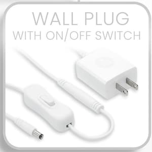 North American wall plug with on off switch.