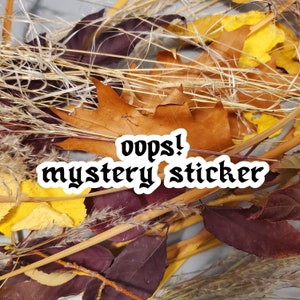 Mystery Oops Sticker | Random | Surprise