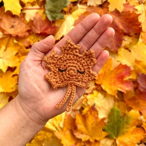 May include: A crocheted brown maple leaf with a smiling face. The leaf is held in a hand against a background of fallen autumn leaves.