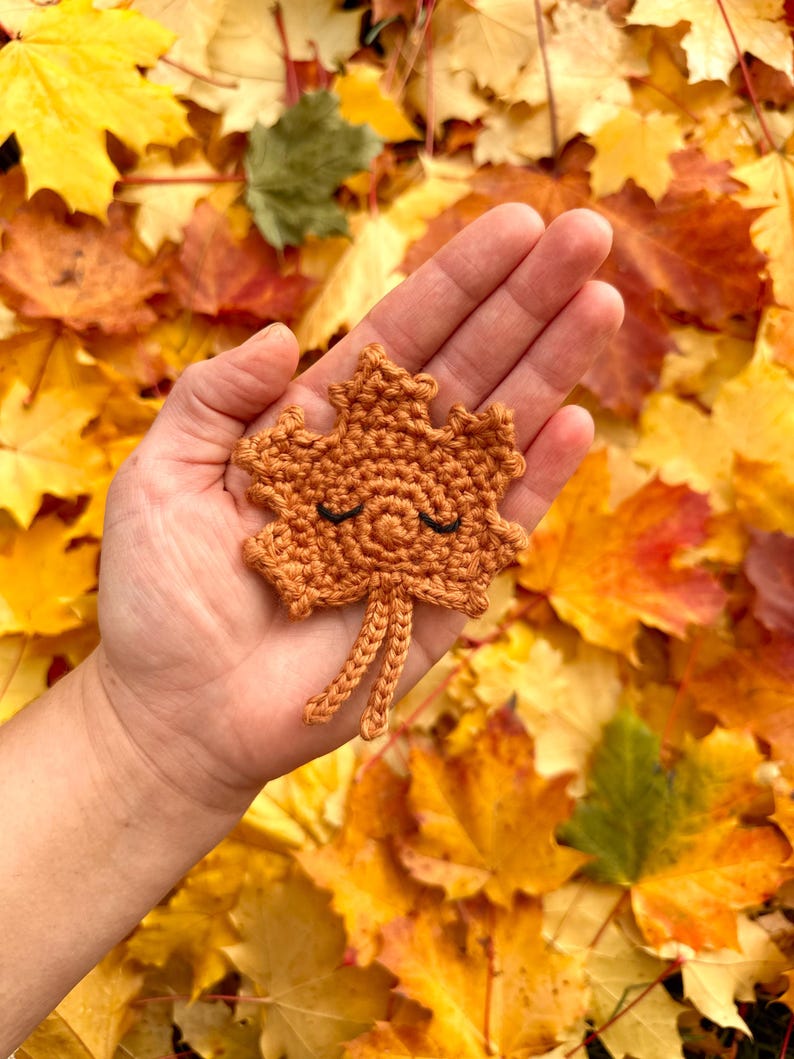 May include: A crocheted brown maple leaf with a smiling face. The leaf is held in a hand against a background of fallen autumn leaves.