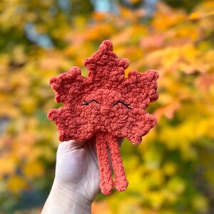 May include: A crocheted red maple leaf with a smiling face and two long legs. The leaf is held in a hand against a blurry background of fall foliage.