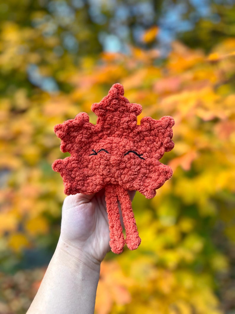 May include: A crocheted red maple leaf with a smiling face and two long legs. The leaf is held in a hand against a blurry background of fall foliage.