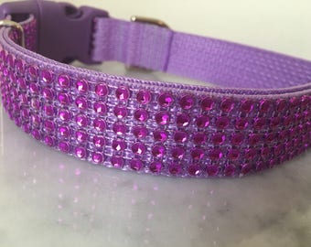 May include: A purple dog collar with a row of pink rhinestones.