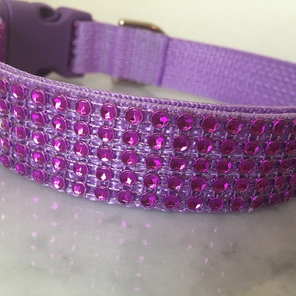 Fancy Dog Collar Etsy