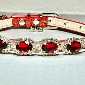 Gioielli rosso rubino: collare per cani di piccola taglia. Chiusura con linguetta e fibbia. Larghezza 1,27 cm.