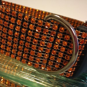 Orange Copper Bling Dog Collar: 2&quot; Wide, Large Breed
