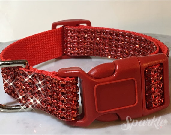 dog training tools clicker