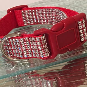 Silver Bling Dog Collar on Red Nylon! One inch wide and adjustable.
