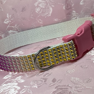 Rainbow Faux Bling Dog Collar: White Nylon, Pink Buckle