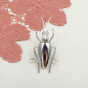May include: A silver-toned insect brooch with long antennae and detailed legs.
