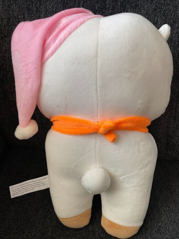 bt21rj plush